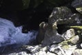 The Chasm in Fiordland National Park. Beautiful New Zealand. Royalty Free Stock Photo